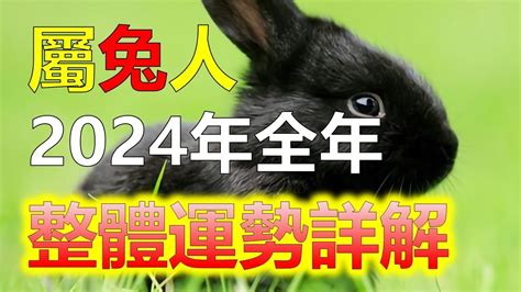 5月屬什麼|線上十二生肖年齡計算器，輸入出生年月日即可查詢生肖及運勢